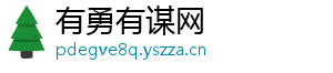 有勇有谋网